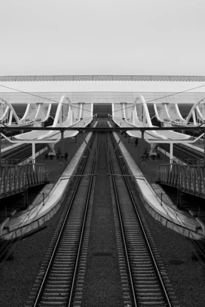 Lignes parfaites